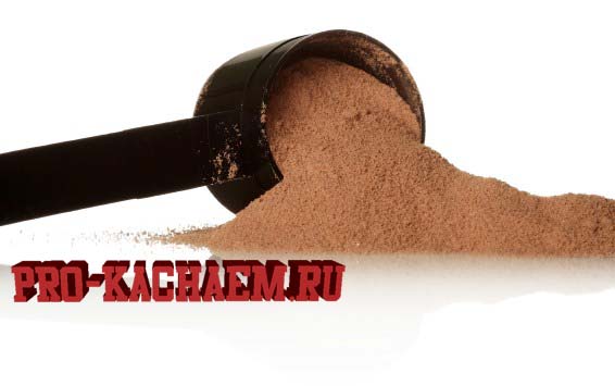 Казеиновый протеин