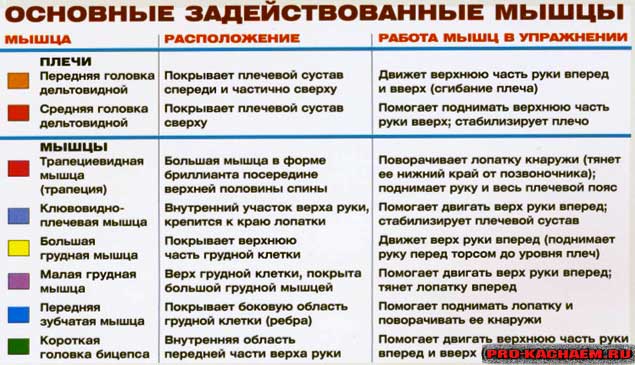 подъем гантелей перед собой