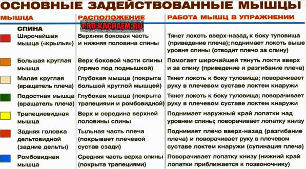 Тяга гантели одной рукой в наклоне