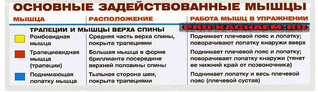 Шраги со штангой за спиной