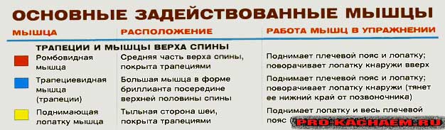 Шраги с гантелями