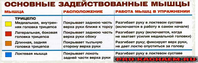 Французский жим